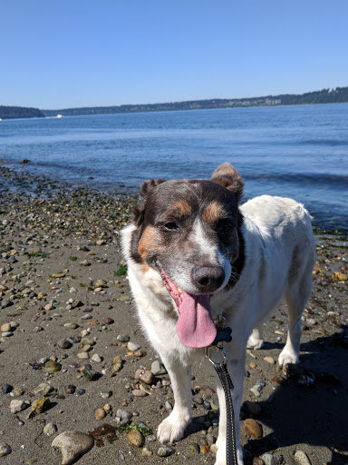 Spring Beach - Thumbnail