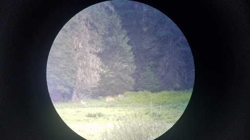Musselshell Meadows - Visual