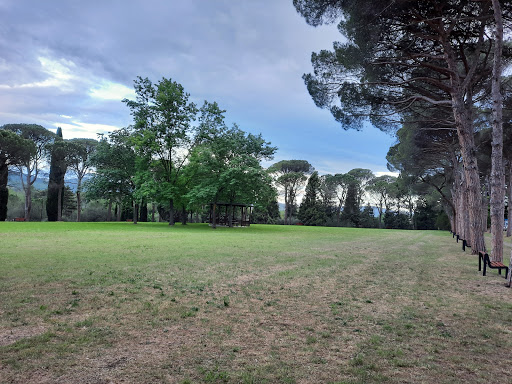 Villa Manusardi - Visual
