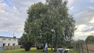 Photo n°27 de Sos Elagage à Ploubezre (Service d'élagage)