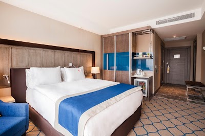 Holiday Inn Kayseri - Duvenonu