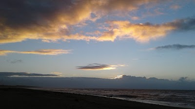 photo of Curly Tree Whitebait Company