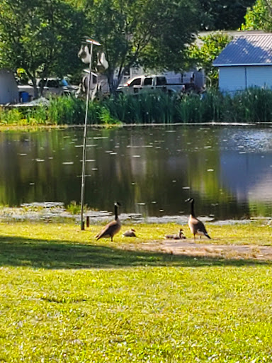 Fish Camp - Visual