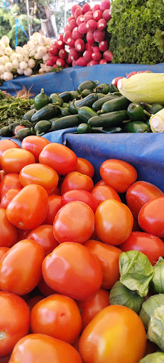 Tianguis de los Remedios - Thumbnail