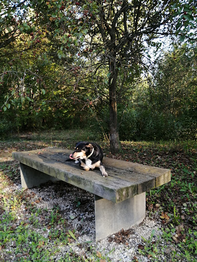 Bosco di Campalto - Thumbnail