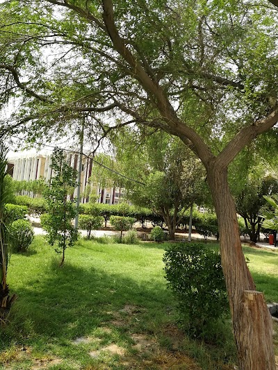 Photos of Department of Accounting and Statistics / Faculty of Management and Economics