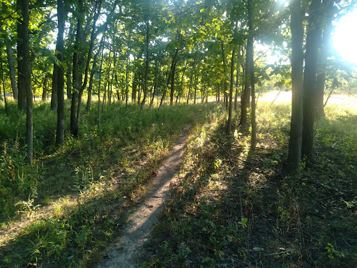 Forest Preserves of Cook County