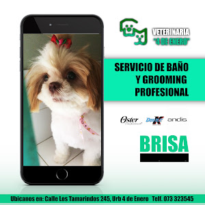 Veterinaria 4 de Enero 8