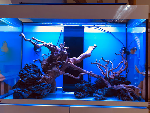 Acuario Amazonas - Visual