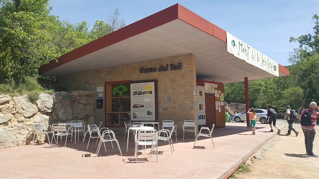 Parc Prehistòric de les Coves del Toll de Moià