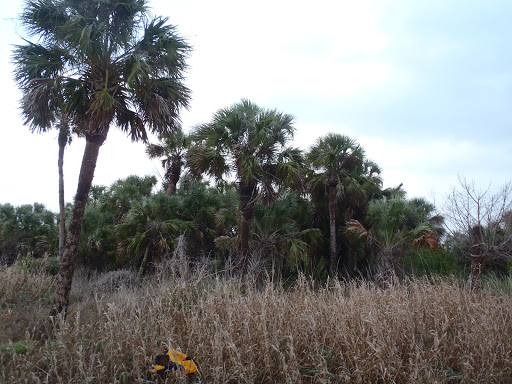Highland Beach - Visual