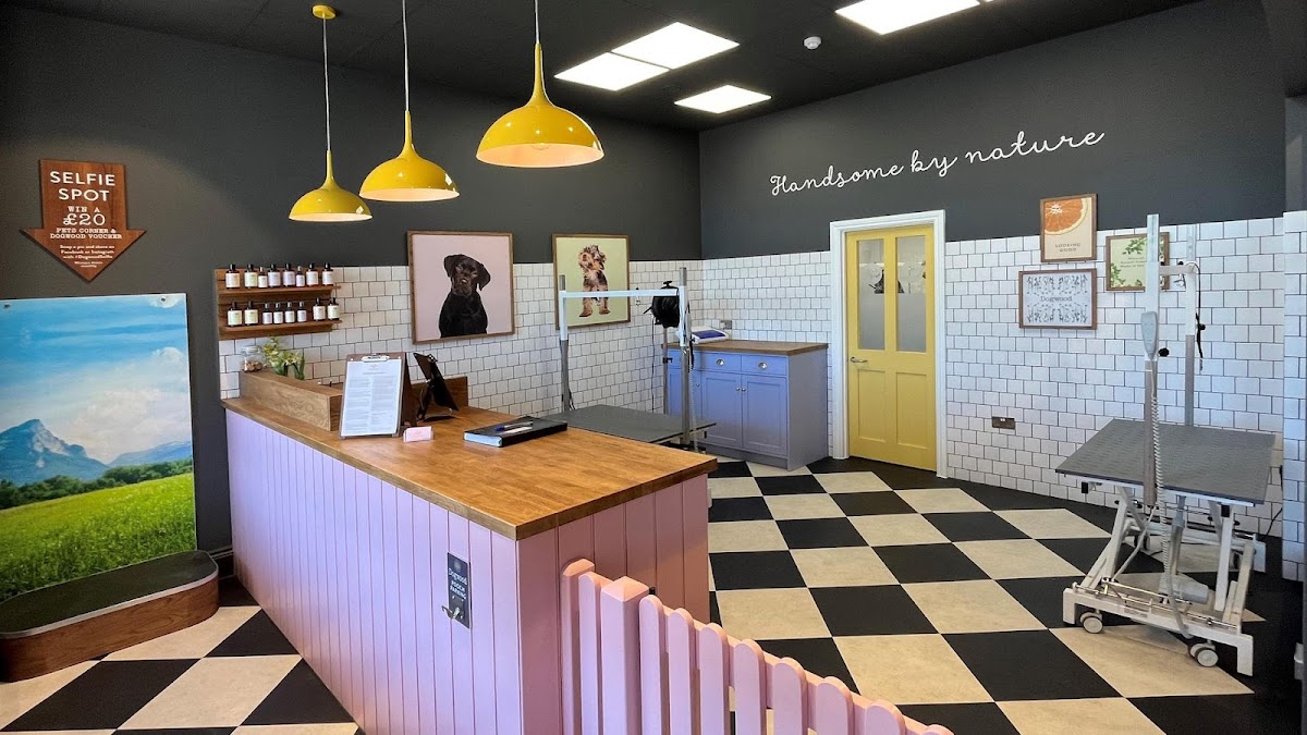 Dogwood Cheltenham Pet Grooming Spa store