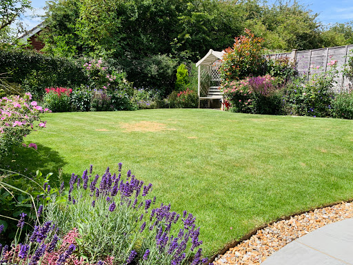 Rosanna's Beauty Room