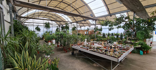 Espacio Verde - Visual