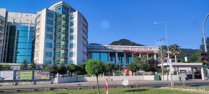 Fotoğraf