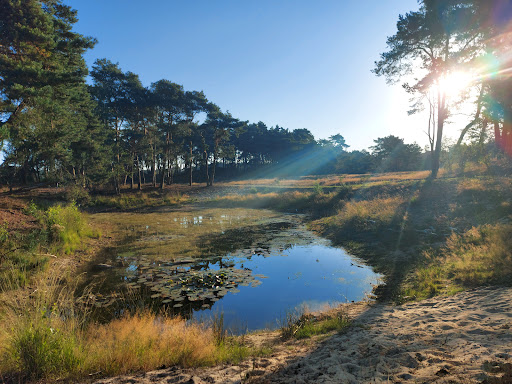 Wekeromse Zandverstuiving - Thumbnail