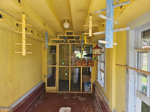 Parakeet House - Thumbnail