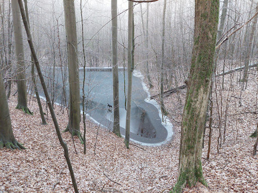 Muschelteich - Visual