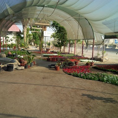 Dammam Nurseries, Author: Wael Alhaddad