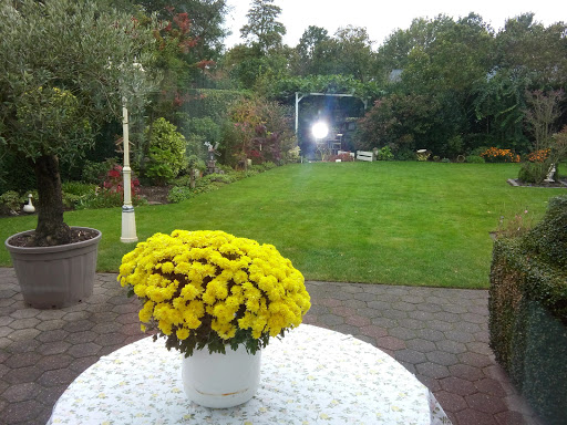 Handelsonderneming Karli Scholten Gallery - Netherlands