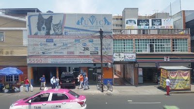 Photos of Huvica veterinary marketing