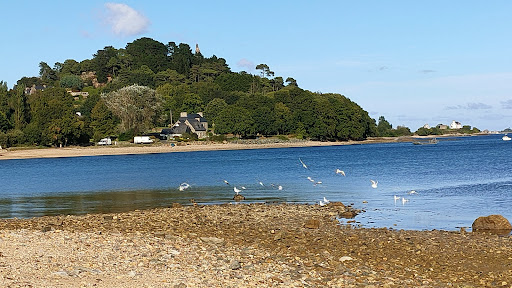 Grève Des Moulins - Thumbnail