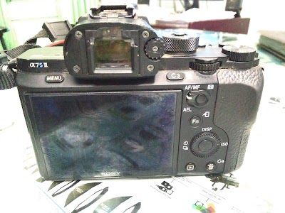 Photos of SS Camera & Photography