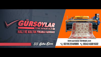 GÜRSOYLAR HALI YORGAN VE KOLTUK YIKAMA FABRİKASI LTD.ŞTİ