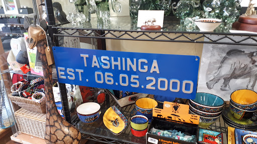 Tashinga - Visual