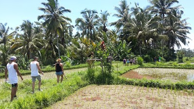 Photos of bali hideaway bike