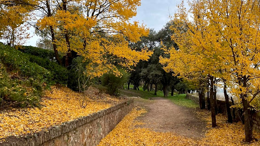 Paseo Alto - Paseo de Ibarrola - Thumbnail
