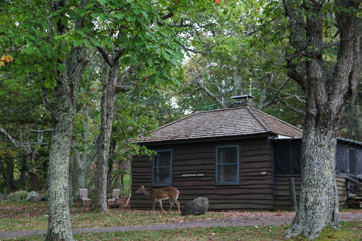 Big Meadows Lodge by null