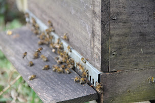 Photo n°1 de Ferme Bordazar à Saint-Étienne-de-Baïgorry (Ferme d'élevage)