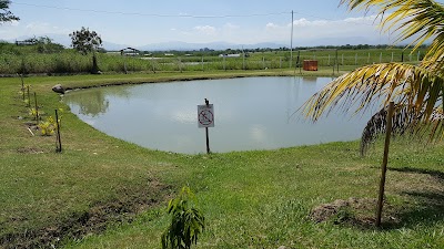 Photos of Pesca Deportiva Y Restaurante Los Palillos