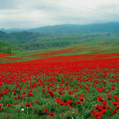 Photos of قلعه پشتاب-قلعه پیشتو