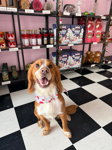 Groomingdales Dog Salon & Spa