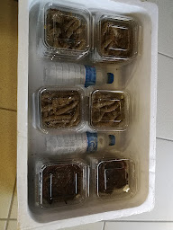 Photo n°13 de Palvadeau Freddy Vers les Iles à La Barre-de-Monts (Magasin d'appâts de pêche)