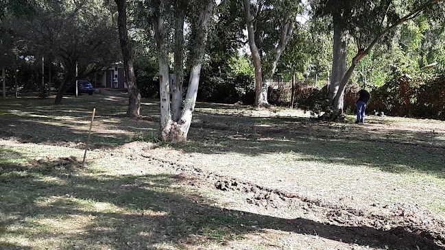 Αξιολογήσεις για το Camping Kourouta στην Αμαλιάδα - Αθλητικό συγκρότημα