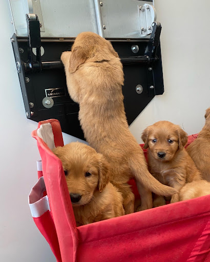 Brighton Animal Hospital Gallery - United States
