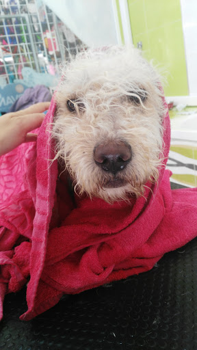 Veterinary Animal Care Center - Thumbnail