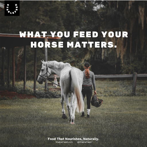 StableFeed - Visual