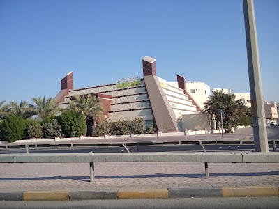 Photos of هرم بلازا