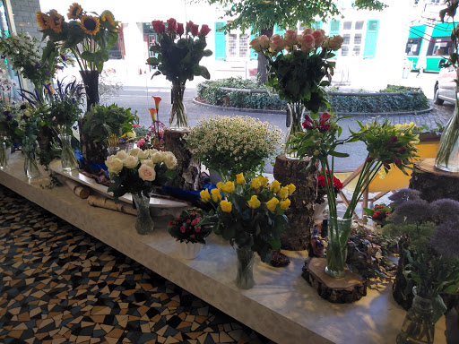 Blumenhaus am Spalenbrunnen - Thumbnail