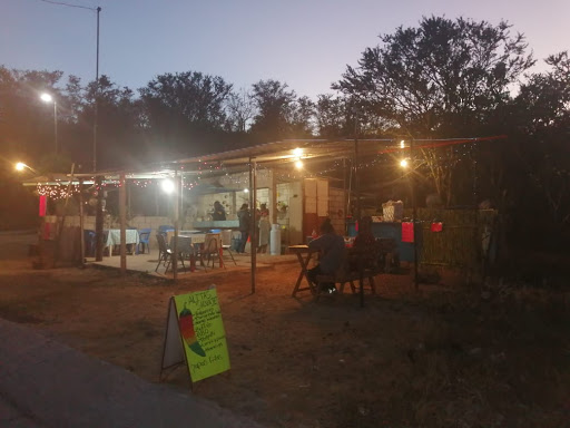 Alitas Salvajes Gallery - Mexico
