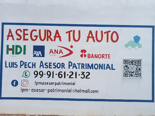 Luis Pech Seguros - Thumbnail