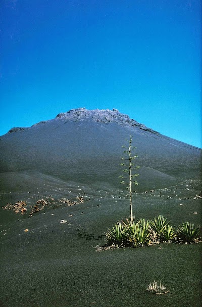 Photos of Pico Do Fogo