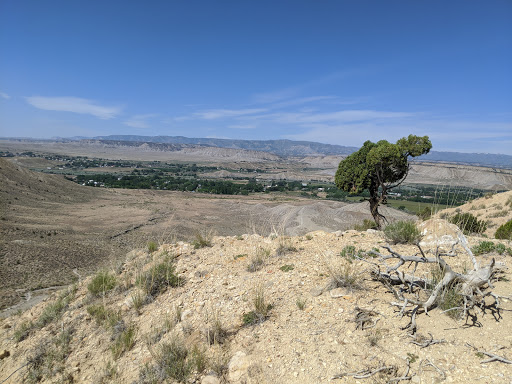 Alan's Overlook - Visual