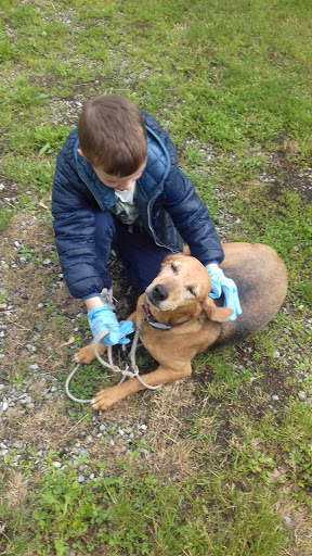 Ambulatorio Veterinario Dott.ssa Antonella Ciati - Thumbnail