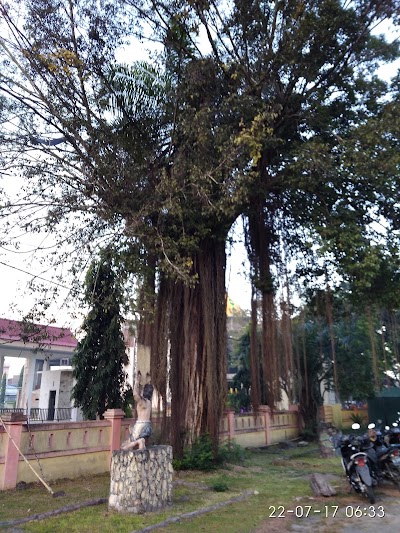 park