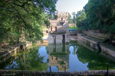 Photos of Amazing Ethiopia Tours